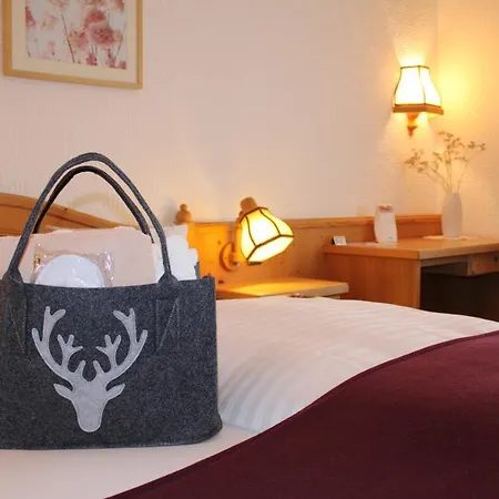 Landhotel Hubertus 3* Unterelsbach