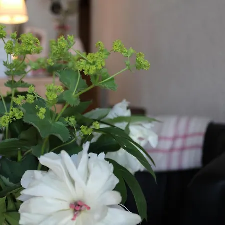 Hubertus Hotel 3*