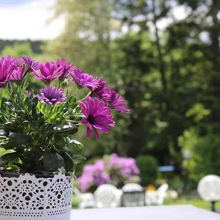 Hubertus Hotel Unterelsbach