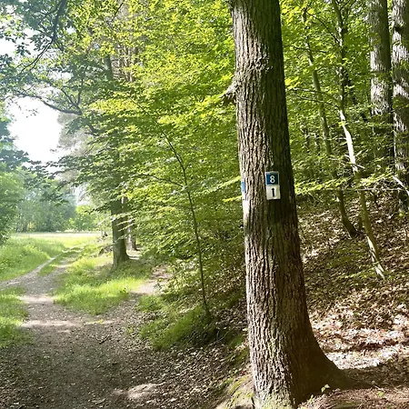 Hubertus ホテル 3*