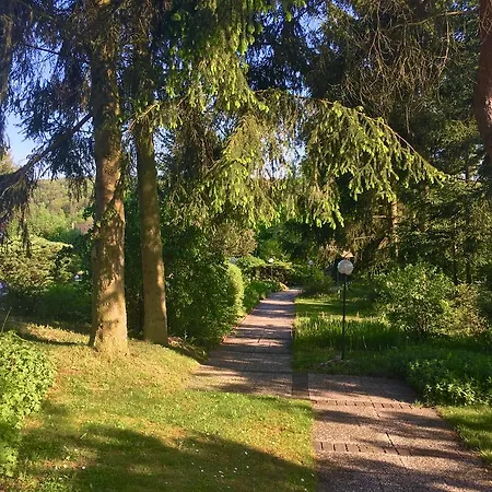 Hubertus